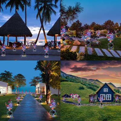 Illuminate Outdoor Beauty