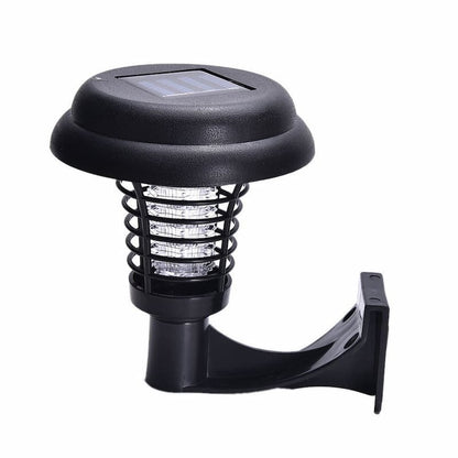 Natural Pest Defense